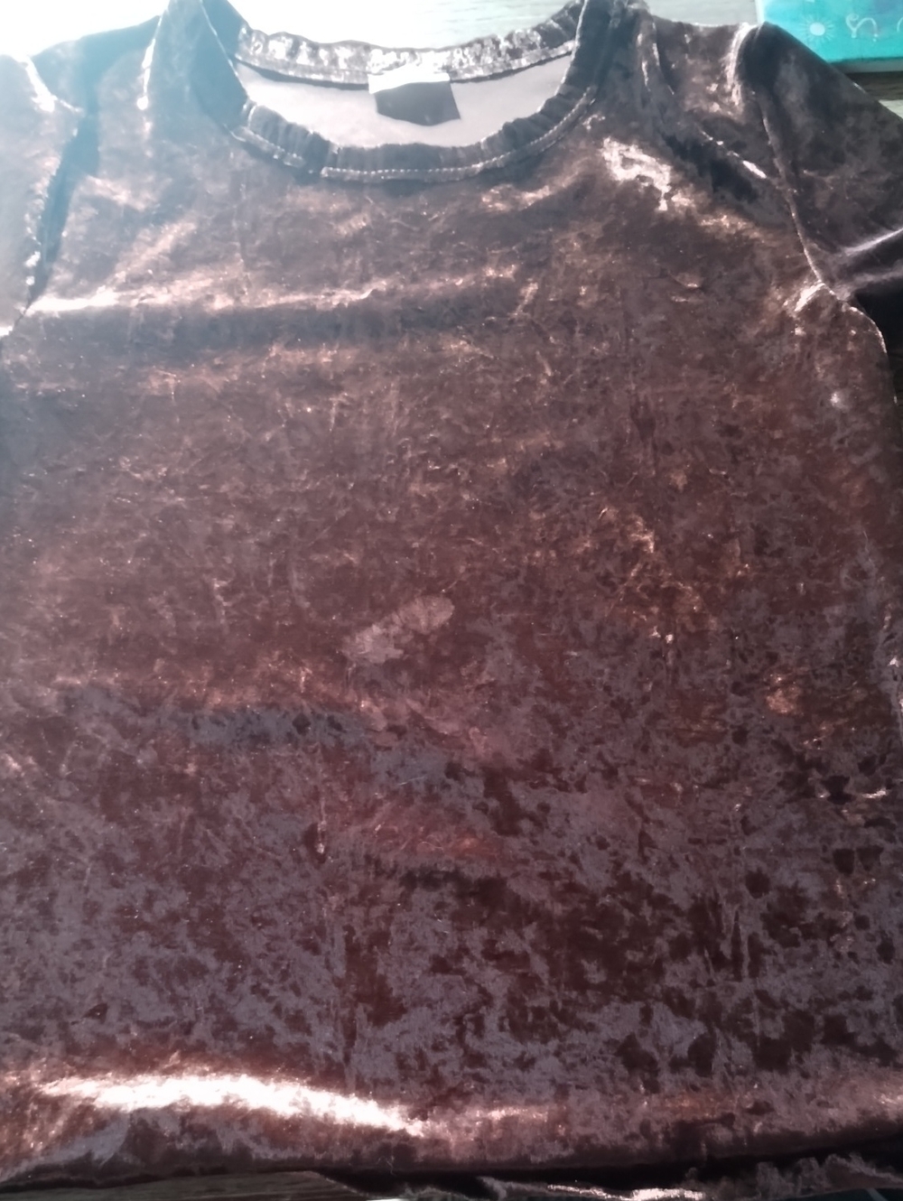 Free People Short Sleeve Velvet-Look Top in Brown